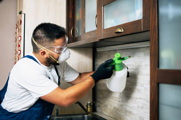 Best Pest Removal Services  in Albert Lea, MN